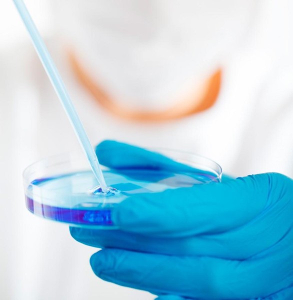 Победить время: что такое отложенное материнство и кому оно подходит Победить время: что такое отложенное материнство и кому оно подходит