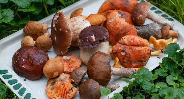 11 рецептов вкусного ужина на средиземноморской диете + КБЖУ всех блюд