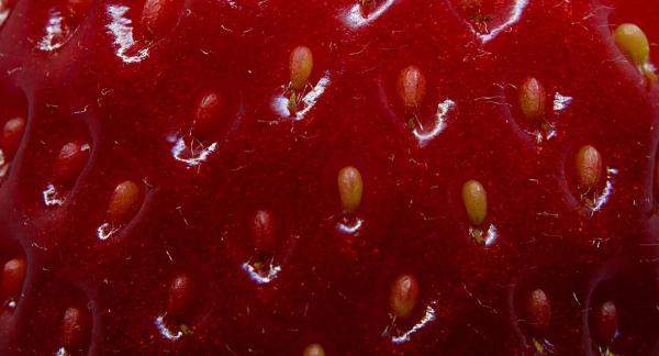 Польза клубники для здоровья и 12 рецептов для снижения веса с КБЖУ Польза клубники для здоровья и 12 рецептов для снижения веса с КБЖУ