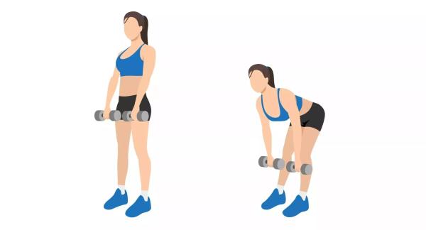 Как нарастить мышцы в домашних условиях: программа тренировок, меню, рецепты Как нарастить мышцы в домашних условиях: программа тренировок, меню, рецепты