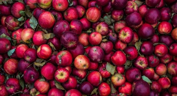 Желанный плод: польза яблока для здоровья и ПП-рецепты для похудения Желанный плод: польза яблока для здоровья и ПП-рецепты для похудения