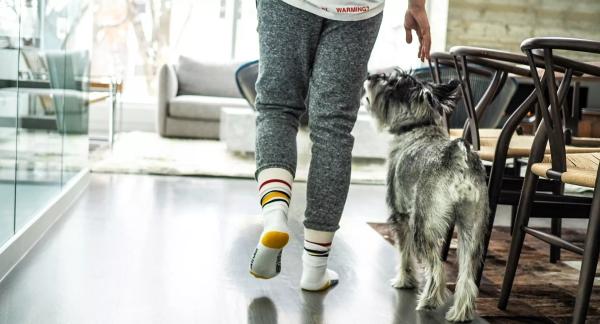 Ходьба спиной вперед: как и зачем практиковать