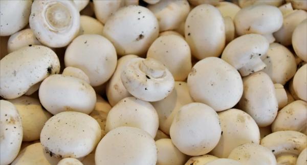 Вкусный ужин на скорую руку: 10 рецептов на полчаса Вкусный ужин на скорую руку: 10 рецептов на полчаса