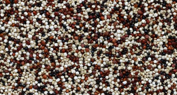 Вкусный ужин на скорую руку: 10 рецептов на полчаса Вкусный ужин на скорую руку: 10 рецептов на полчаса