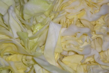 Доктор Мясников рассказали о побочных эффектах употребления капусты Доктор Мясников рассказали о побочных эффектах употребления капусты