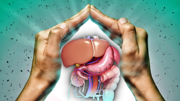 Что такое детокс-диета: в каких случаях ее можно применять и как делать это правильно