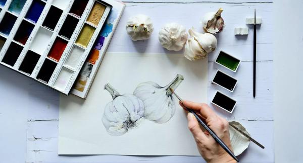 Целительное снадобье: чем полезен чеснок для здоровья человека Целительное снадобье: чем полезен чеснок для здоровья человека