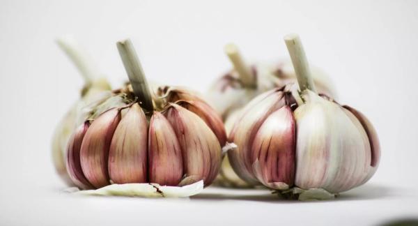 Целительное снадобье: чем полезен чеснок для здоровья человека Целительное снадобье: чем полезен чеснок для здоровья человека