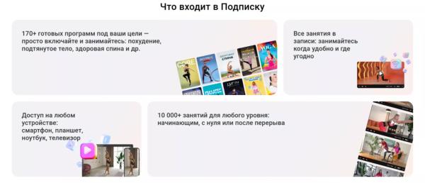 Знакомьтесь, Еживика: ваша верная напарница на платформе Живи!